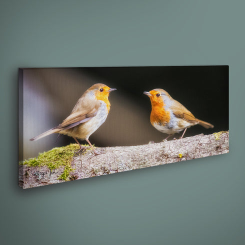 PANORAMIC - BOBBIN AND BOYFRIEND - 1.2m x 50cm